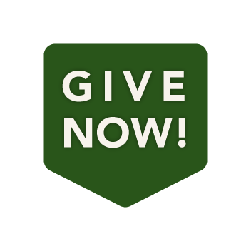 Give now 