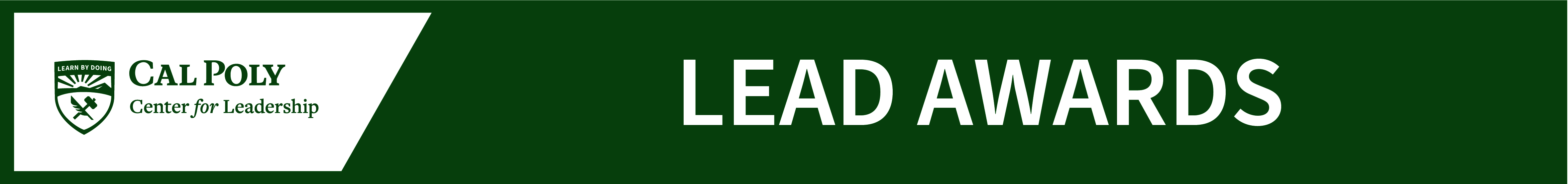 Lead Awards