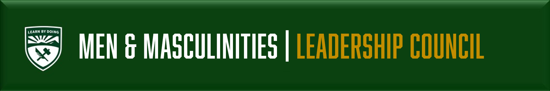 Men & Masculinities - Leadership Council