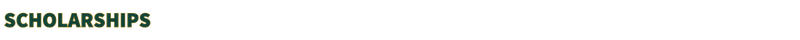 SCHOLARSHIPS