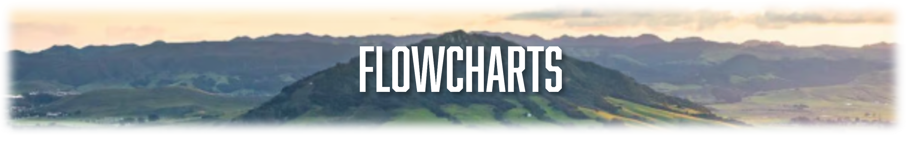 Flowcharts Banner