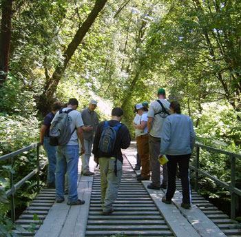 Class on bridge