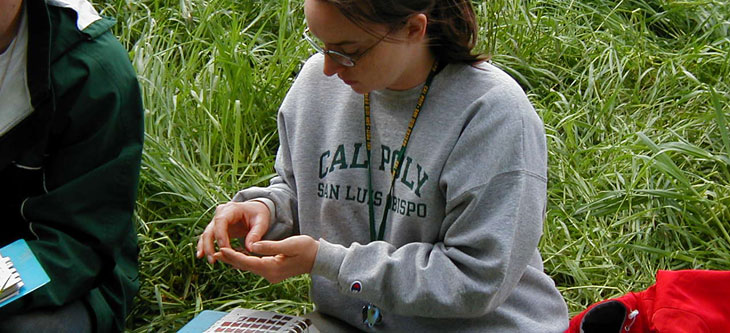 Soil testing