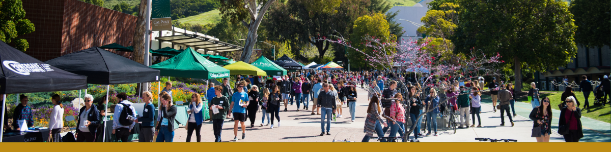 Visitors explore campus resources on Mustang Way during Open House.