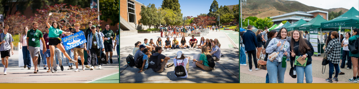 Students attend a resource fair, follow their student leaders and meet in groups during SLO Days.