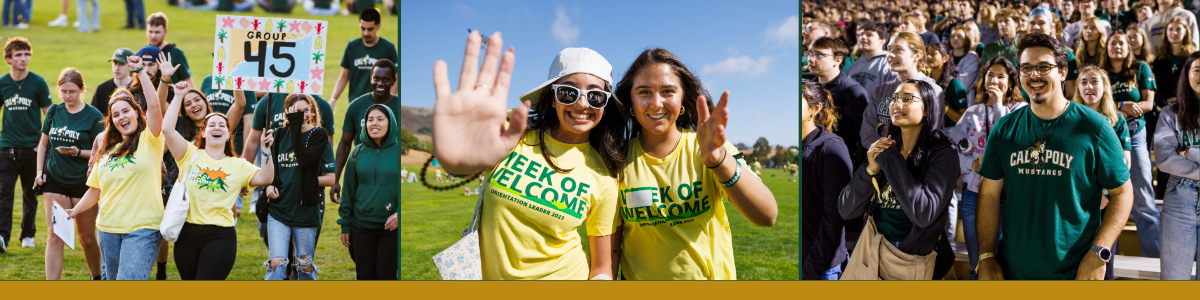 Students enjoy Week of Welcome including meeting their groups and sitting in the stands at Big Fall Welcome.