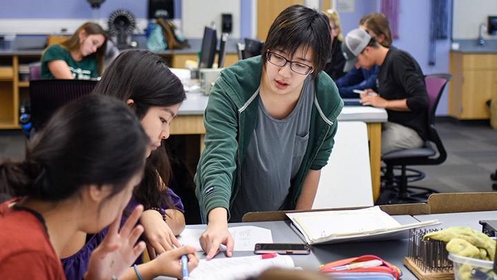 Student helping other students in class