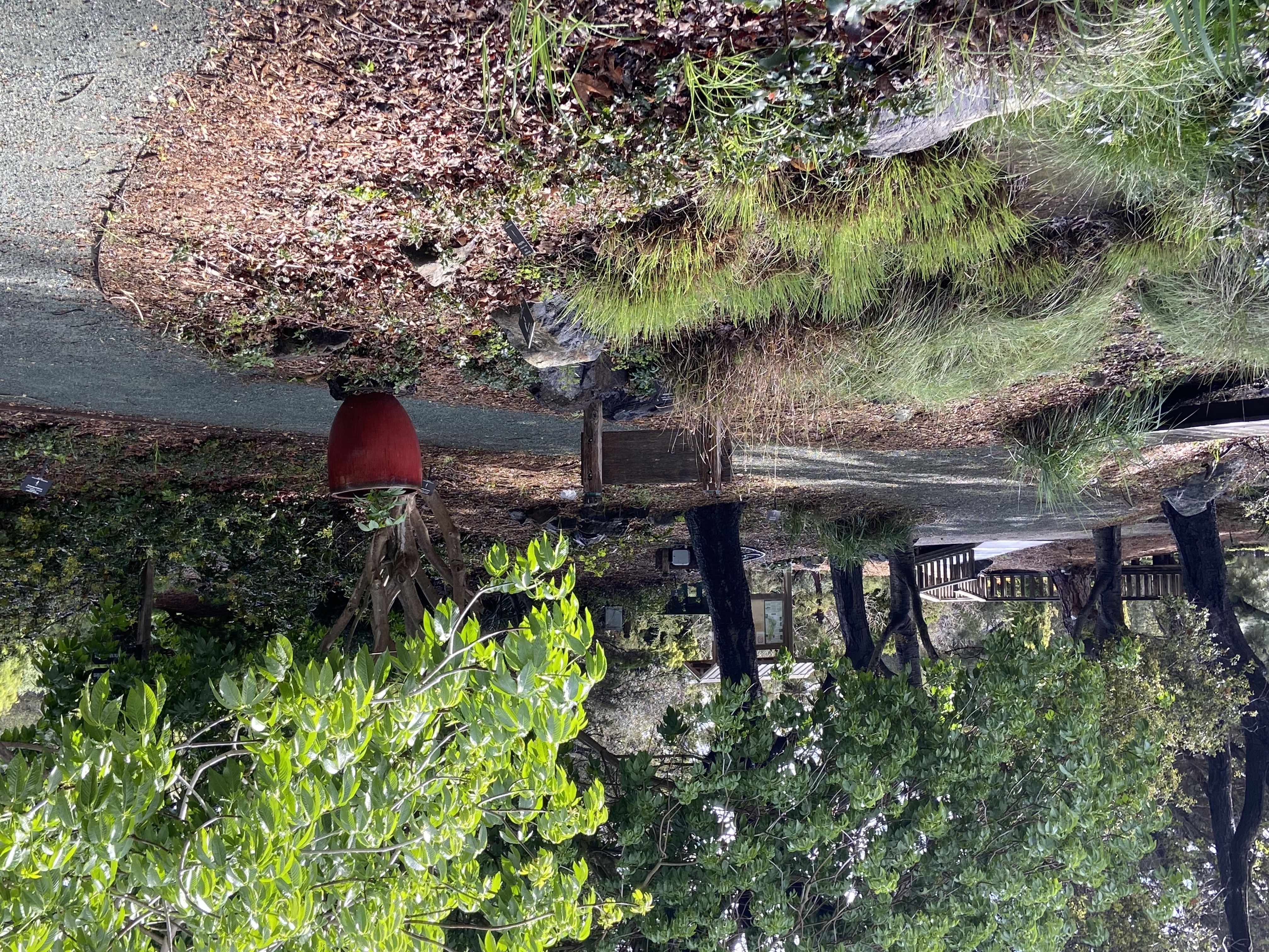 CA garden 