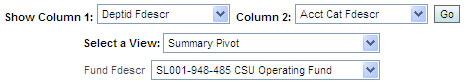 Summary Pivot example column selectors, view, fund