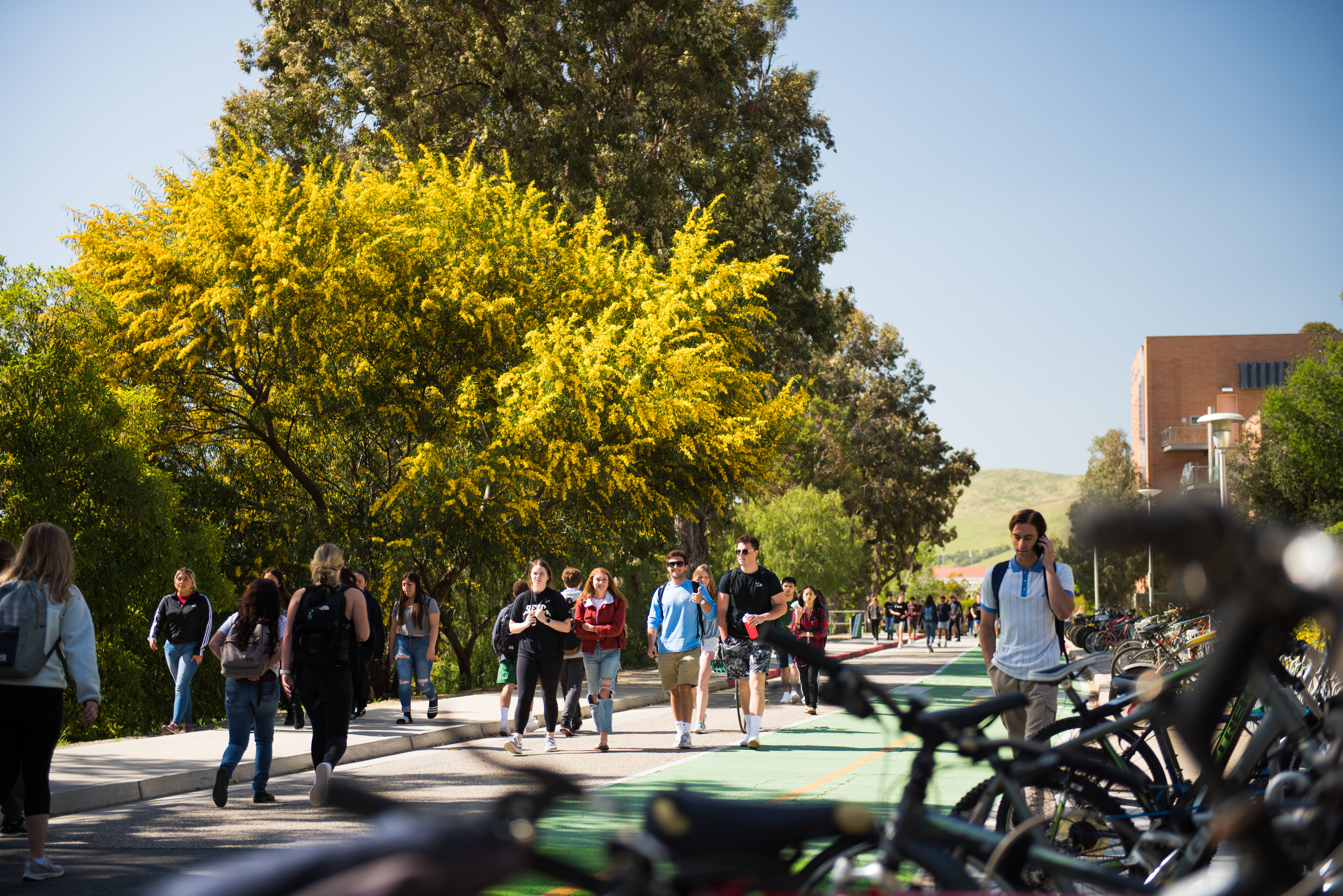 Cal Poly campus