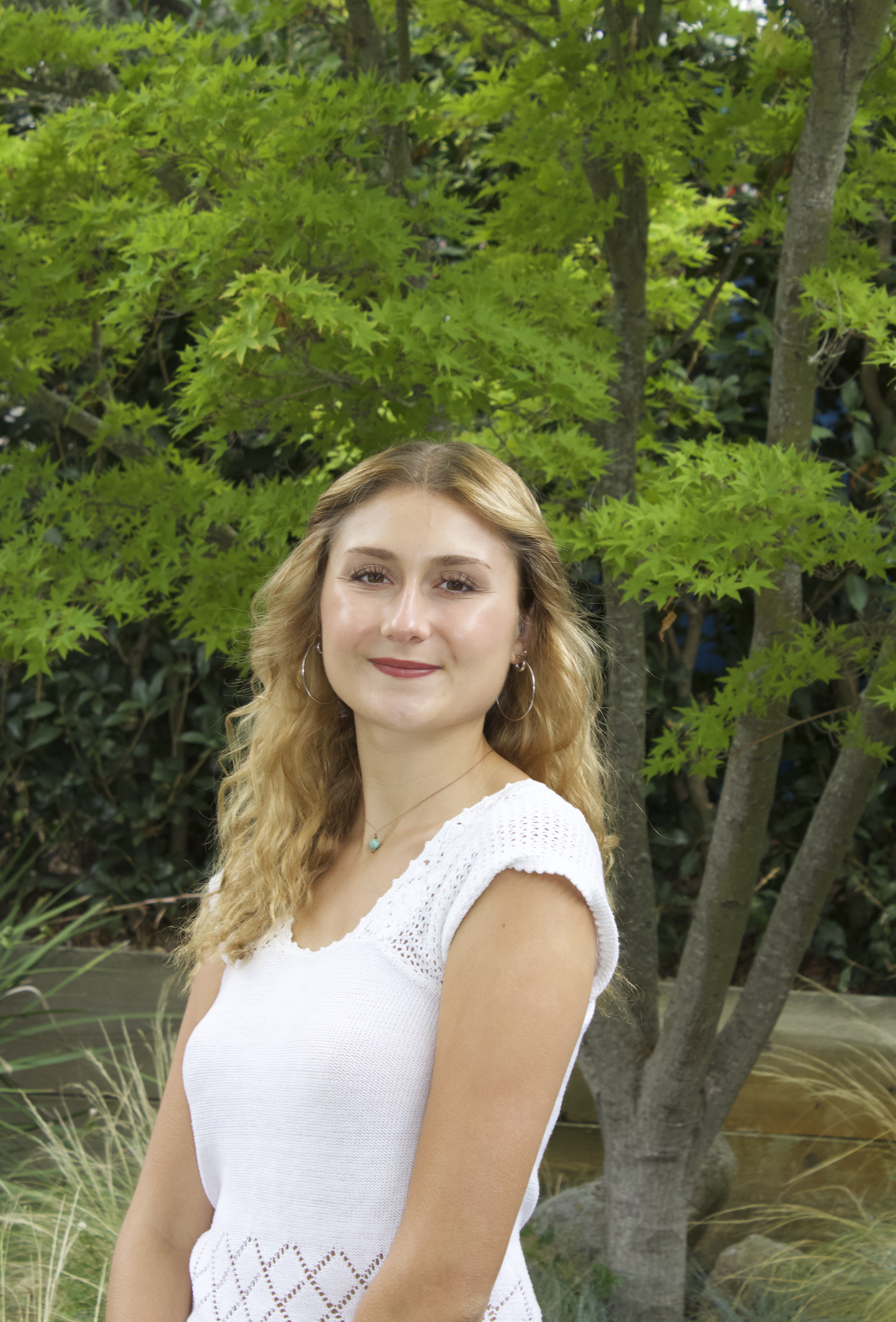 Article Image 1