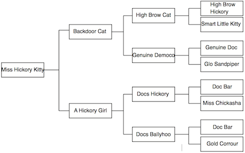 Miss Hickory Kitty's pedigree