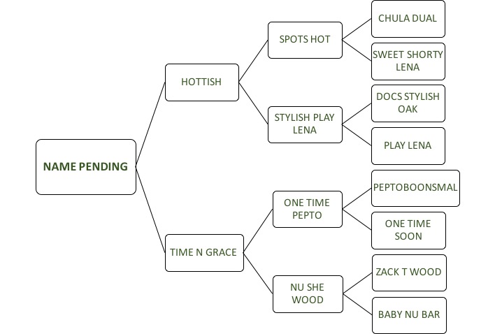 Name Pending Pedigree