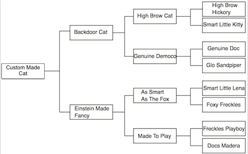 Custom Made Cat pedigree