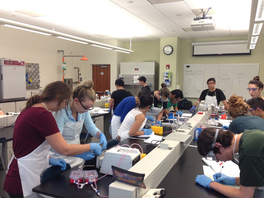 Student working in lab