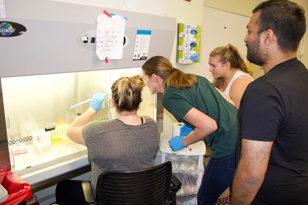 Professor Kristen Cardinal with students in lab