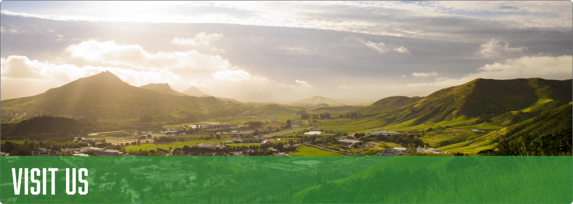 Banner that depicts the Cal Poly campus on a bright, sunny day. 