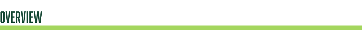 overview
