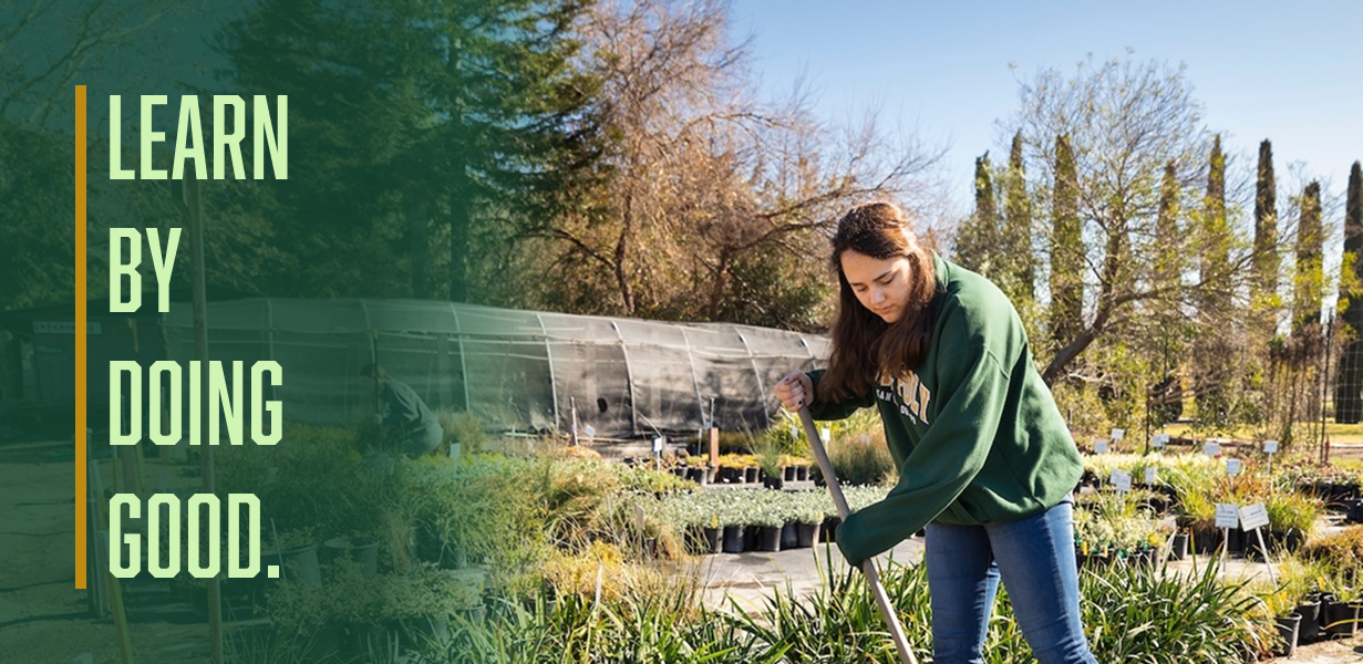 decorative image with slogan learn by doing good