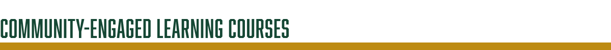 Community Engaged learning courses