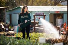Student volunteering at a local non-profit organization Growing Grounds Growing Grounds frequently serves as a service-learning site for Cal Poly students.