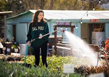 Person in a "CAL POLY" sweatshirt watering plants with a hose in a garden.