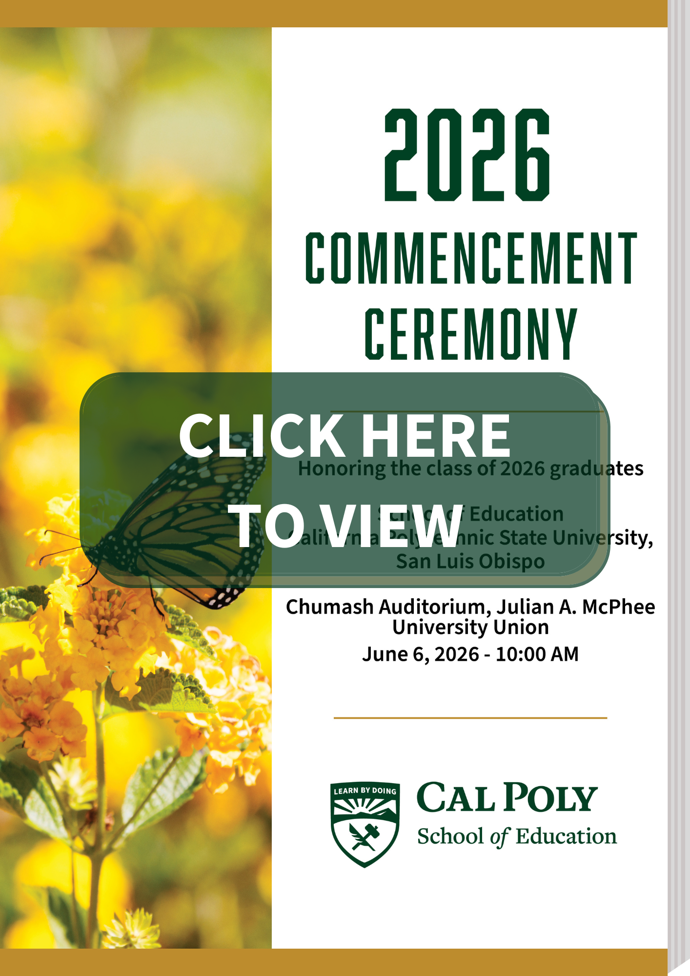 Program Download