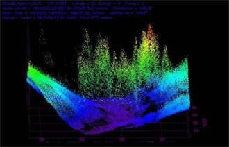 LiDAR imagery of trees