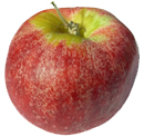 Red Gravenstein Apples