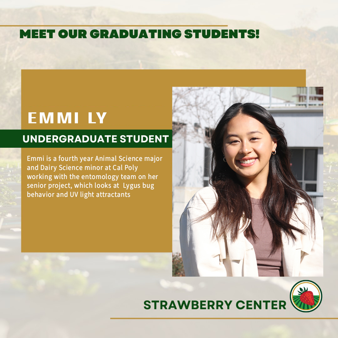 Emmi strawberry sellers