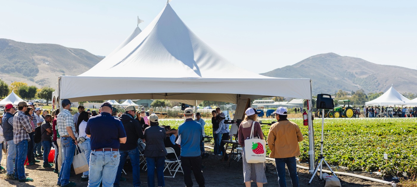 Field Day attendees gather under a tent beside strawberry research plots at the Cal Poly Strawberry Center.