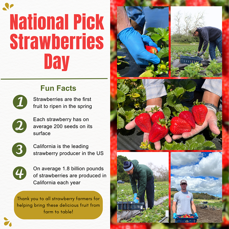 May 20 is National Strawberry Picking Day