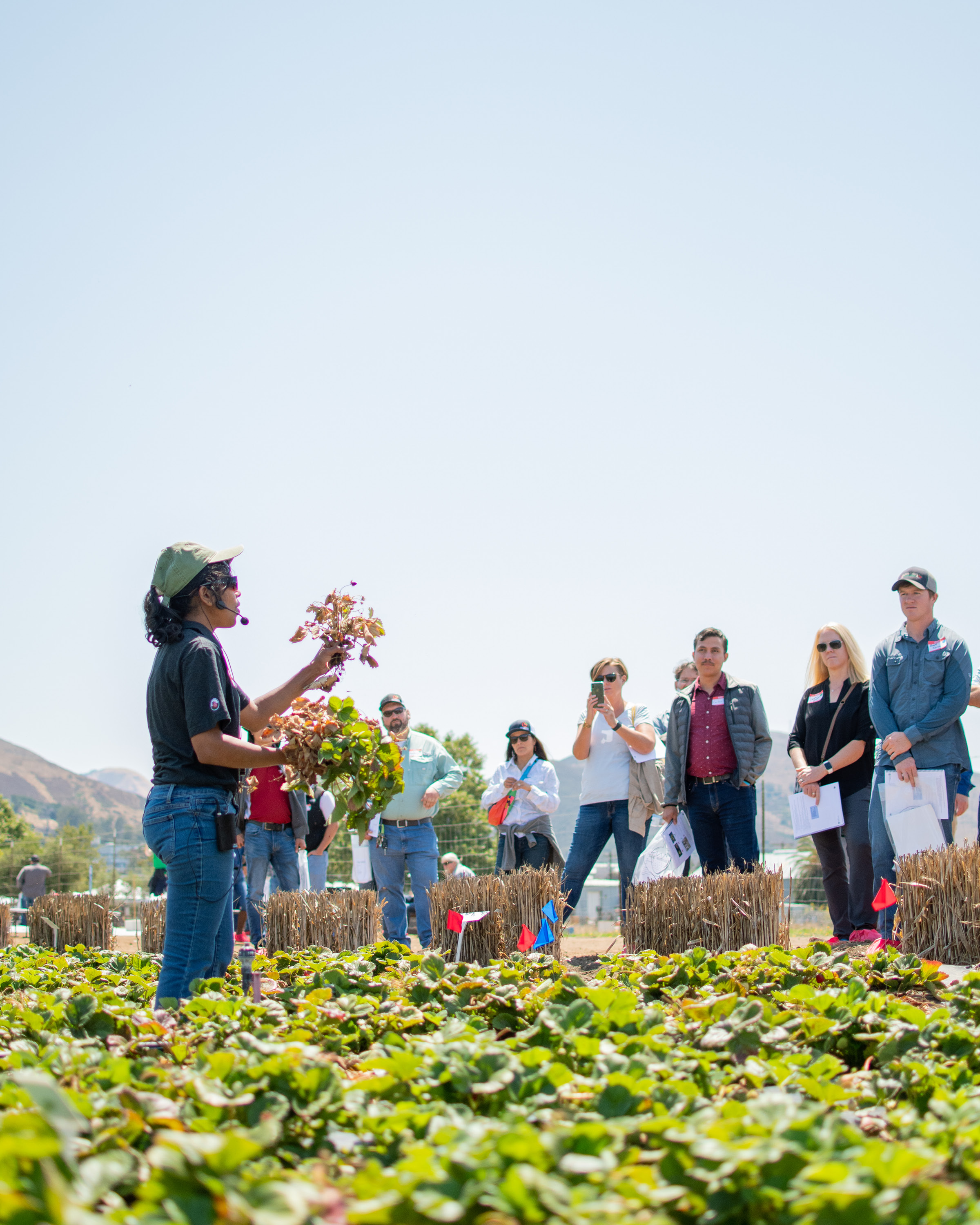 Field Day 2022 Information and Handouts Strawberry Center Cal Poly