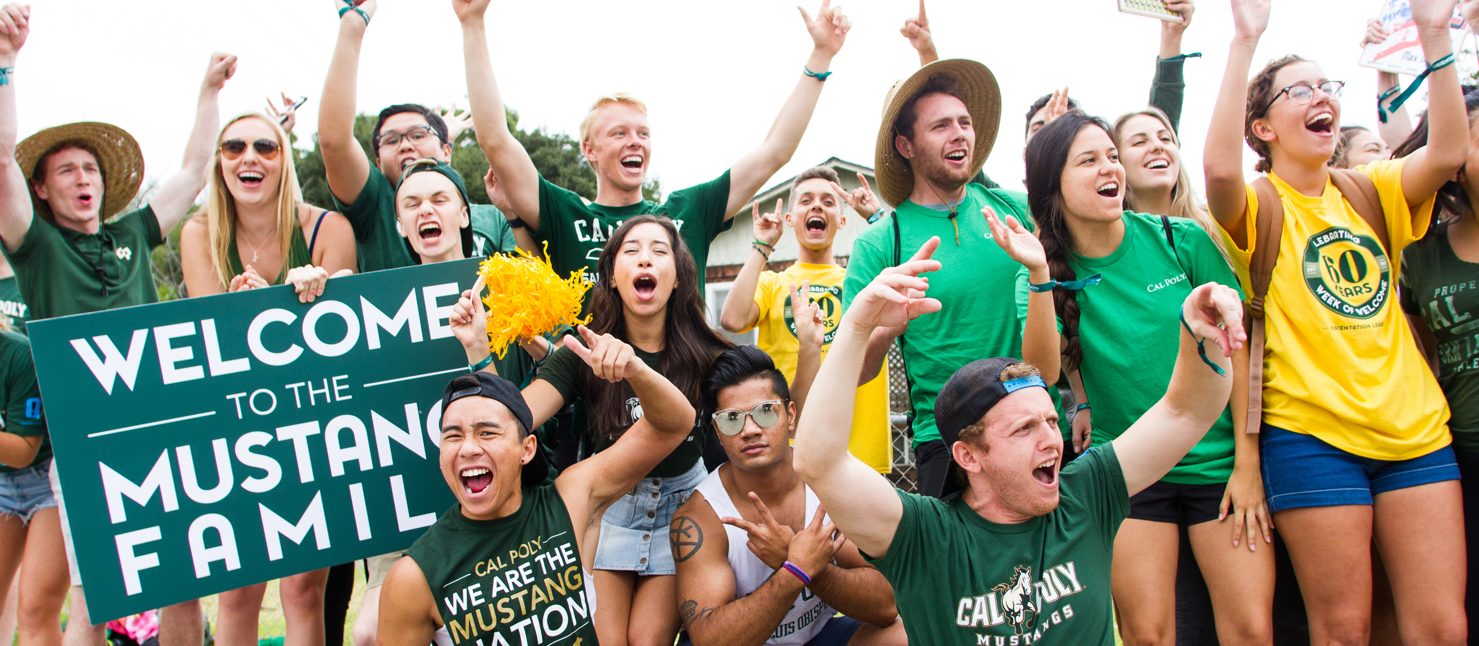 WOW Welcome Students
