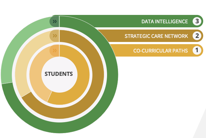 Graphic of Promise Project phases