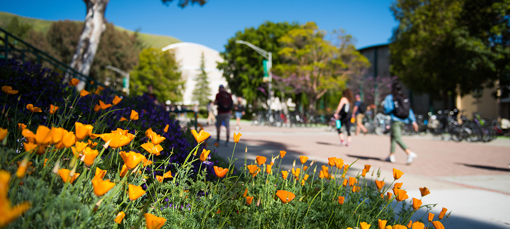 Flowers on Mustang Way with students walking by