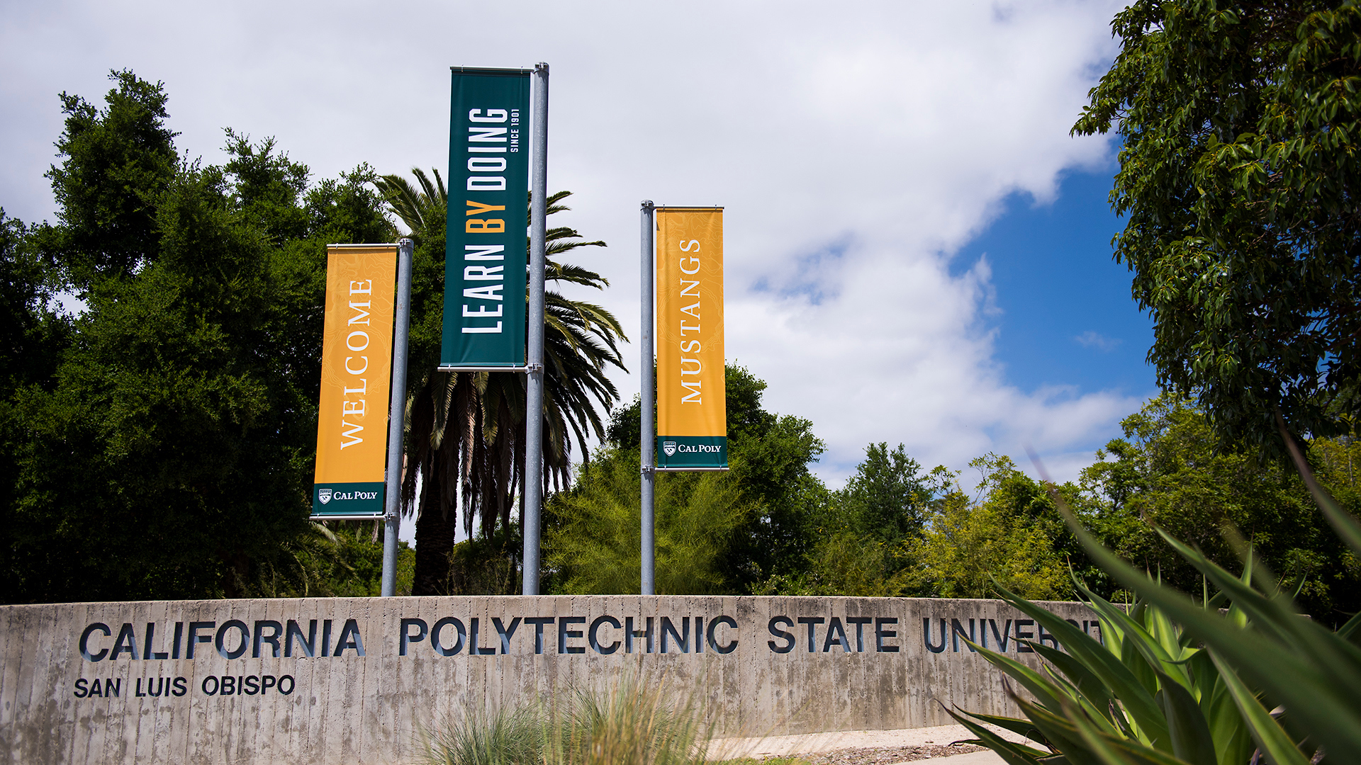 Cal Poly entrance with signs saying "Welcome," "Learn by Doing," and "Mustangs." Trees and plants surround the signs. The sky is blue with light gray clouds dotting the scene.